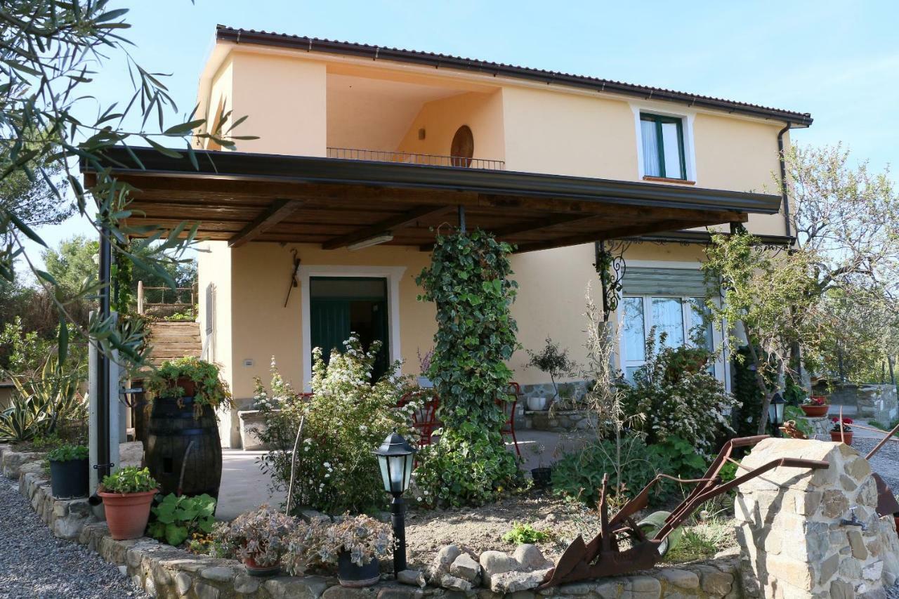 B&B Il Vigneto Требизачче Экстерьер фото